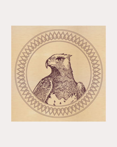 Eagle Mandala by D. A. Rei