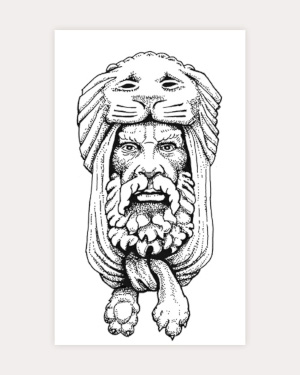 The Lion Man by D. A. Rei