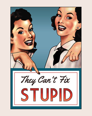 They Can't Fix Stupid by D. A. Rei